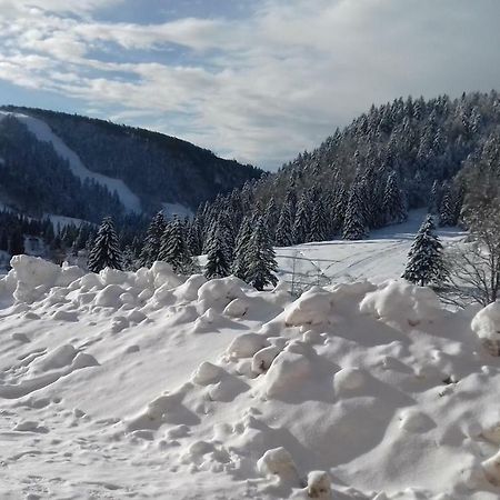 Les Feignes Cerfdore La Bresse Eksteriør bilde